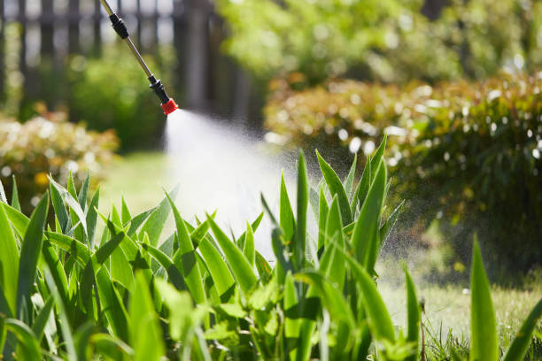 24/7 Emergency Mosquito Control experts in Georgetown, SC