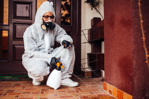 Reliable Mosquito Control contractor in Georgetown, SC by Nex Pest Control