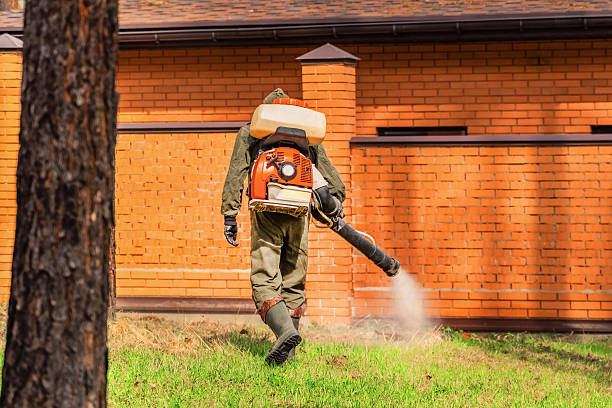 Top rated local Mosquito Control specialists in Georgetown, SC
